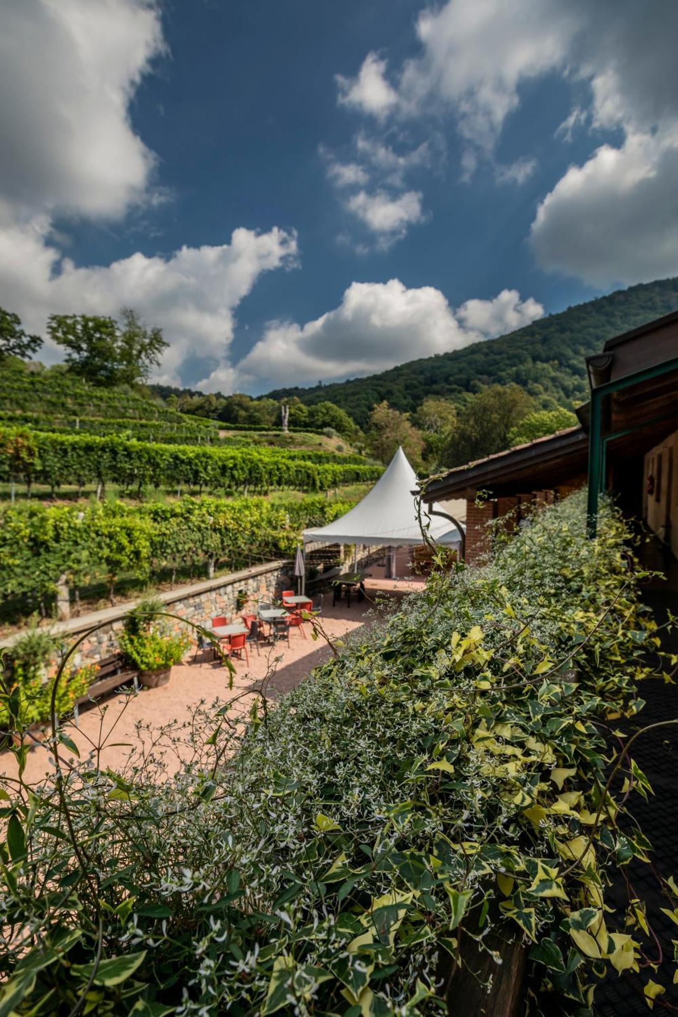 Wine & Art Relais Vallombrosa Castelrotto Exterior photo